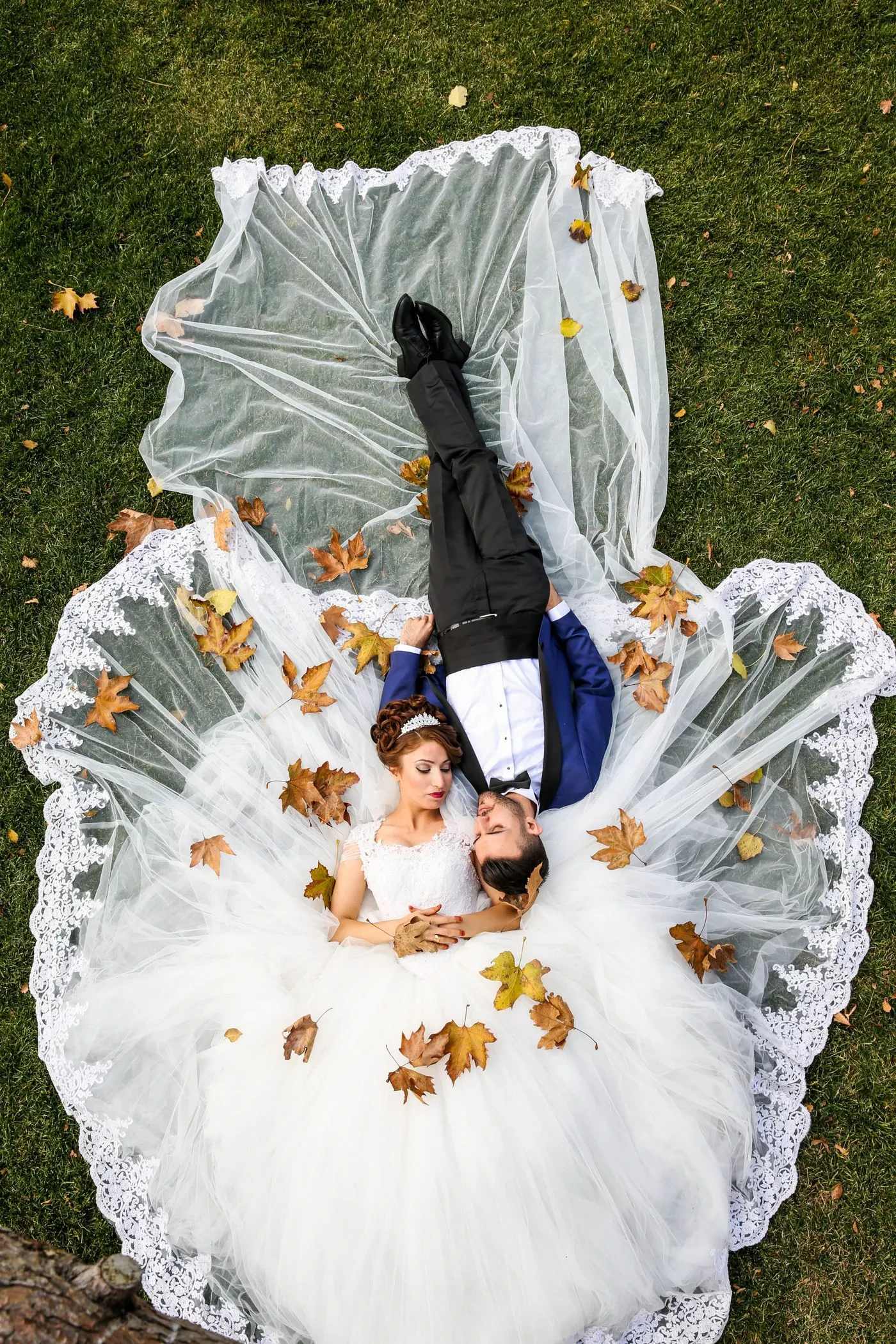 Wedding and Engagement